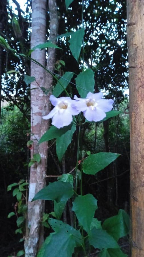 Casa De Campo Banheira, Lareira E Cachoeira Pedra Azul  Eksteriør billede