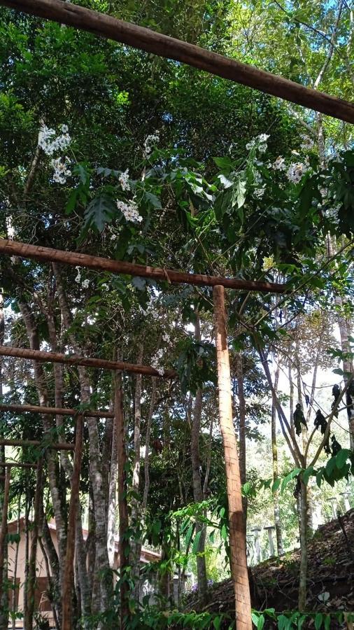 Casa De Campo Banheira, Lareira E Cachoeira Pedra Azul  Eksteriør billede