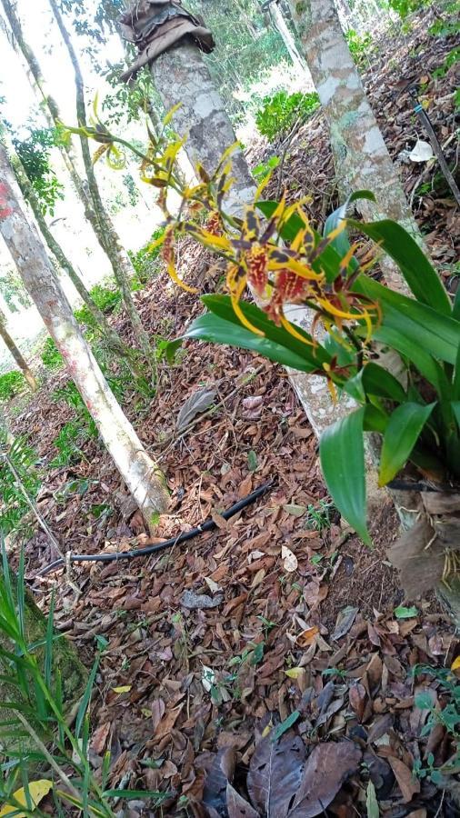 Casa De Campo Banheira, Lareira E Cachoeira Pedra Azul  Eksteriør billede